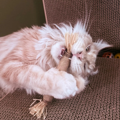 PatiJoy® Kedi Çiğneme & Oyun Çubuğu