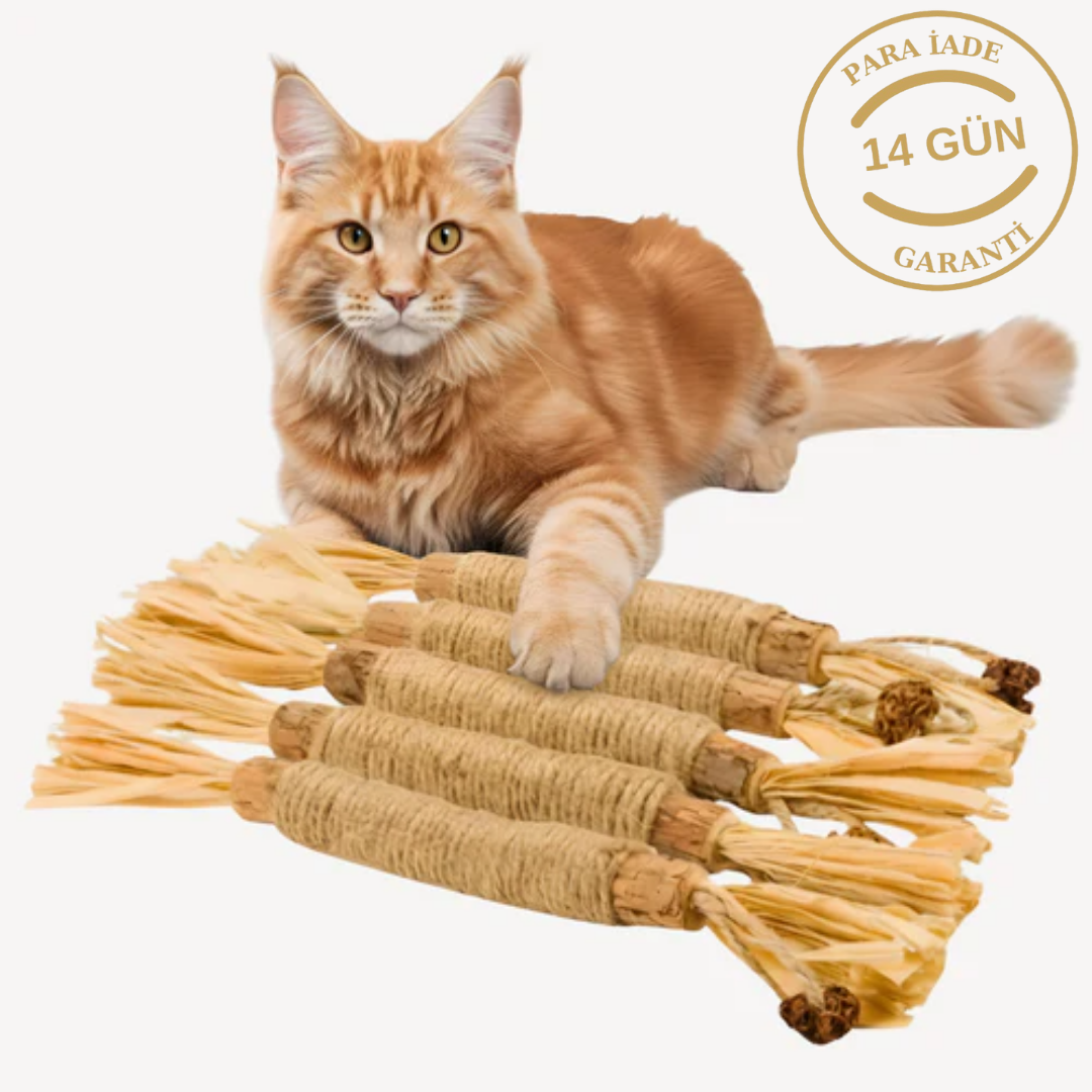 PatiJoy® Kedi Çiğneme & Oyun Çubuğu