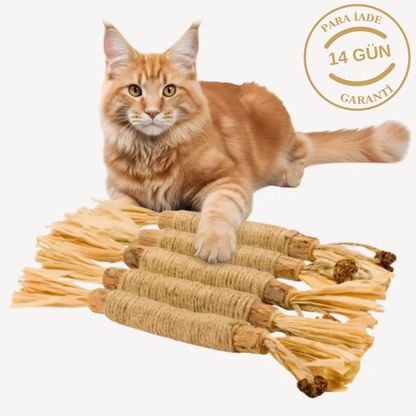 PatiJoy® Kedi Çiğneme & Oyun Çubuğu