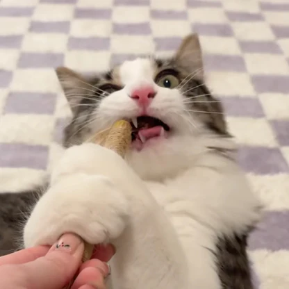 PatiJoy® Kedi Çiğneme & Oyun Çubuğu